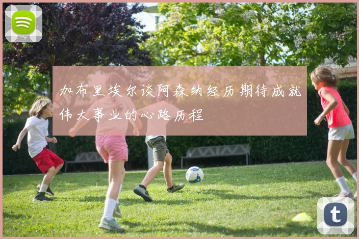 加布里埃尔谈阿森纳经历期待成就伟大事业的心路历程