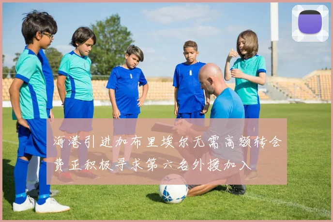 海港引进加布里埃尔无需高额转会费正积极寻求第六名外援加入